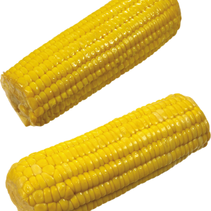 Corn PNG