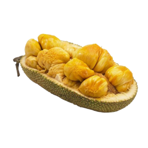 Jackfruit PNG