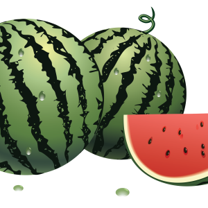 watermelon PNG image