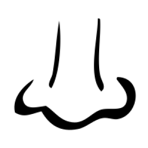 Human nose PNG