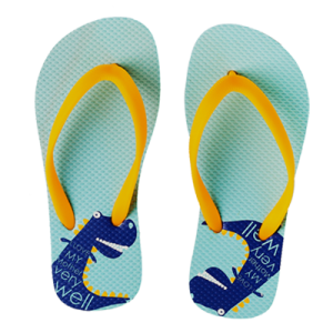 Flip-flops PNG