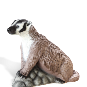 Badger PNG