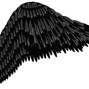 Wings PNG