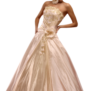Bride dress PNG