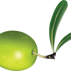 Olive PNG