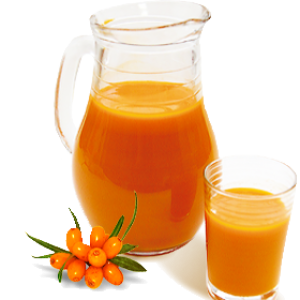 Sea buckthorn PNG