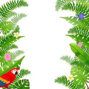 Jungle PNG