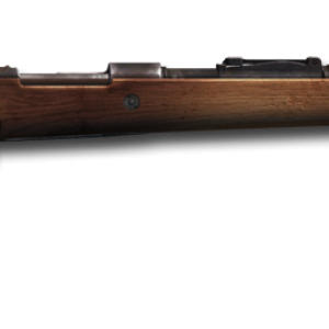 Carabine PNG