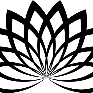 Lotus flower PNG