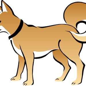 Dog PNG