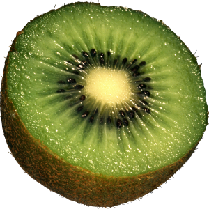 Kiwi PNG image, free fruit kiwi PNG pictures download