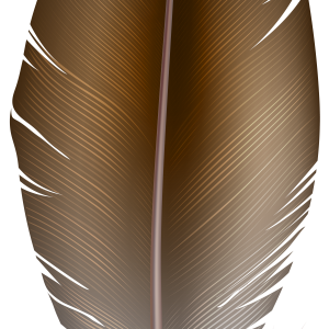 brown feather PNG