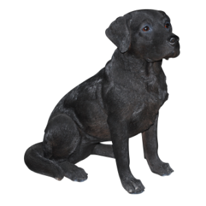 Labrador Retriever PNG