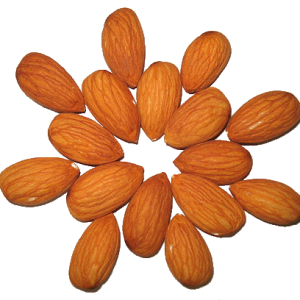 Almonds in shape PNG