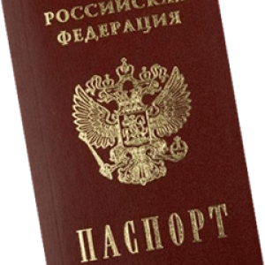Passport PNG