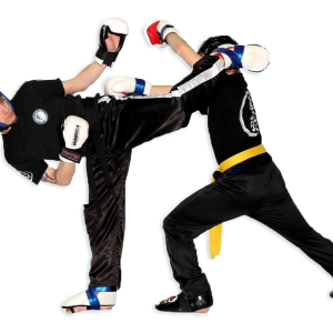 Kickboxing PNG