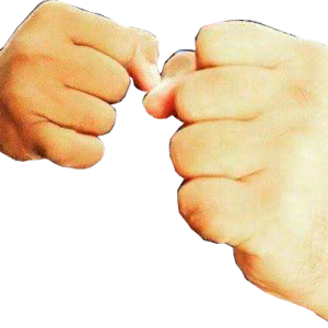 Fist PNG