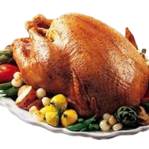 Turkey food PNG