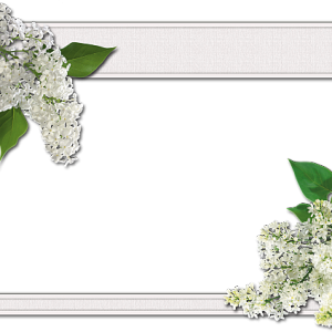 Picture, photo frame PNG