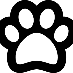Paw PNG