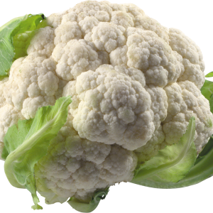 Cabbage PNG image