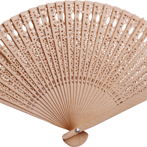 Hand fan PNG image