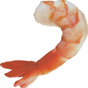 Shrimps PNG