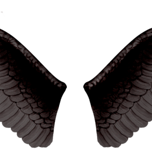 Black evil wings PNG
