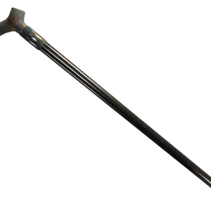 Walking stick PNG