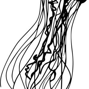 Jellyfish PNG