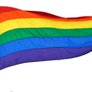 LGBT flag PNG