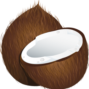 Coconut PNG image