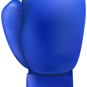 boxing gloves PNG