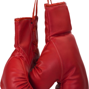 hanging boxing gloves PNG image