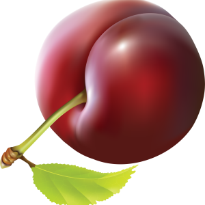 Plum PNG image