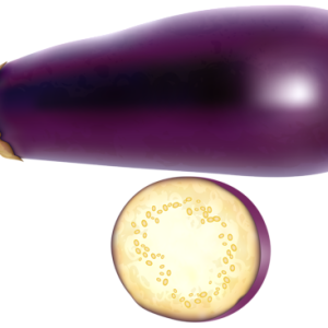Eggplant PNG
