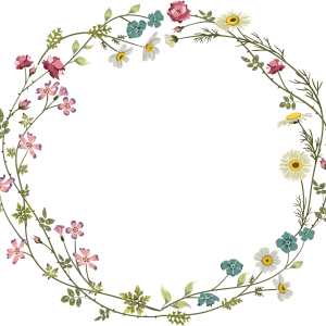 Floral frame PNG