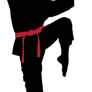 Karate PNG