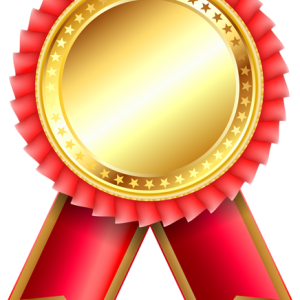 Gold medal PNG