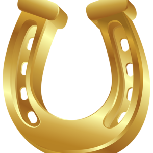 Horseshoe PNG