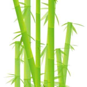 Bamboo PNG