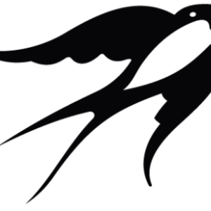 Swallow PNG