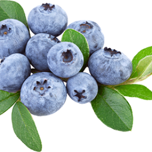 Blueberries PNG