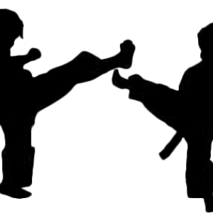 Karate siluete PNG