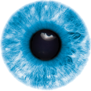 Eye PNG