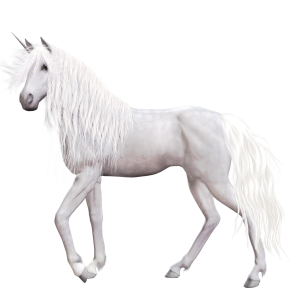 Unicorn PNG