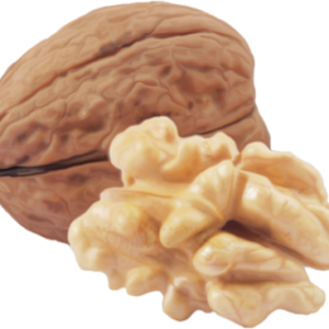Walnut PNG