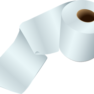Toilet paper PNG