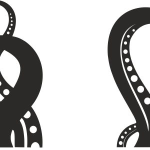 Octopus PNG