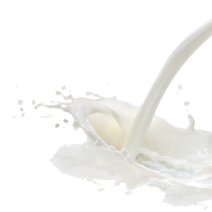 Milk PNG